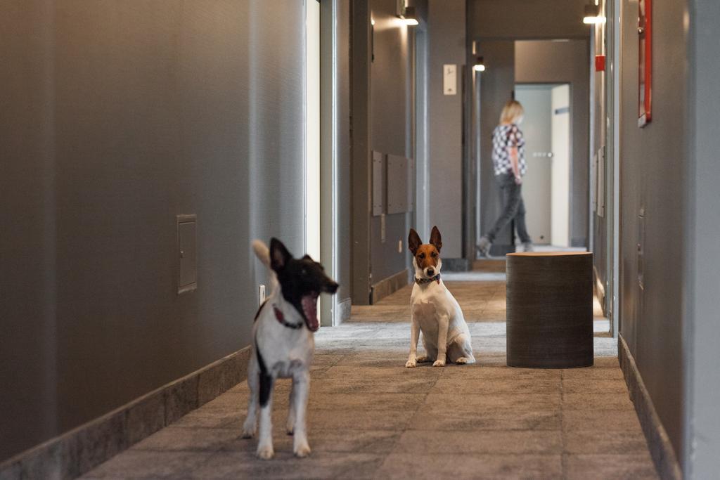 Hotel Perla Kraków Eksteriør billede